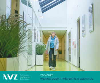vacaturebeeld werkstudent